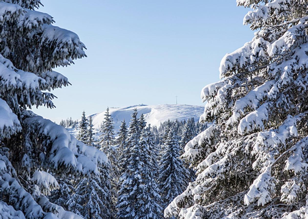 A La Chapelle Titisee Екстер'єр фото